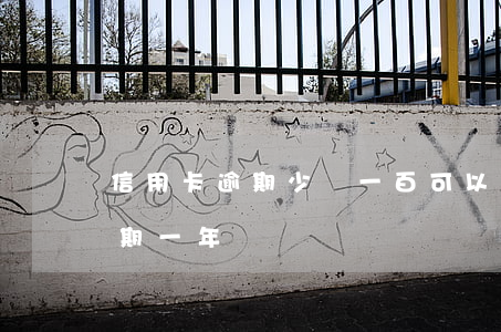 信用卡逾期少還一百可以嗎(信用卡200逾期一年)