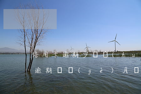 信用卡逾期少還會(huì)上門嗎(信用卡逾期幾個(gè)月沒(méi)還銀行會(huì)上門嗎)