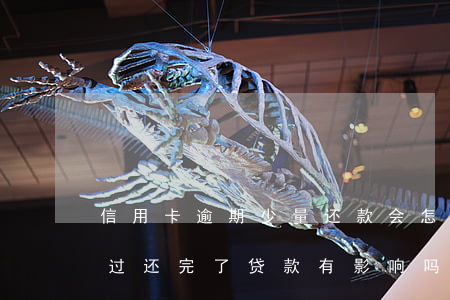 信用卡逾期少量还款会怎么样(我信用卡逾期过还完了贷款有影响吗)