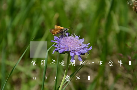 信用卡逾期就一定坐牢嗎(信用卡逾期會(huì)坐牢嗎)