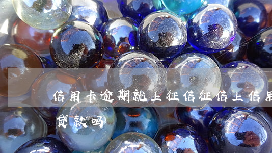 信用卡逾期就上征信(征信上信用卡逾期还能贷款吗)