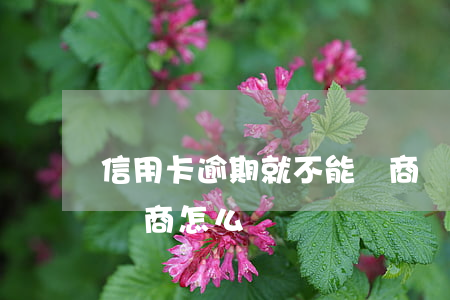 信用卡逾期就不能協商嗎(信用卡逾期不同意協商怎么辦)