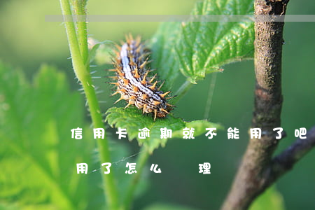 信用卡逾期就不能用了吧(信用卡逾期卡不能用了怎么處理)