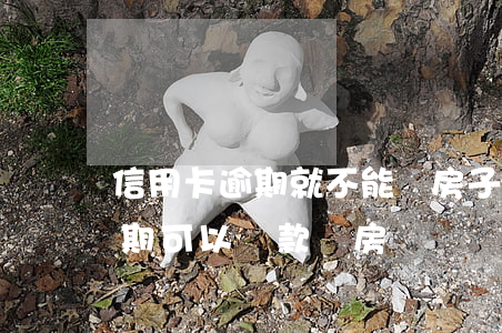 信用卡逾期就不能買房子嗎(有信用卡沒有逾期可以貸款買房嗎)
