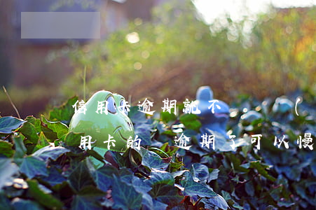 信用卡逾期就不還錢會(huì)怎樣(欠信用卡的錢逾期了可以慢慢還嗎)