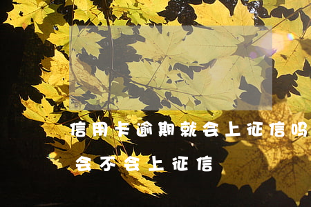 信用卡逾期就会上征信吗(本月信用卡逾期了会不会上征信)