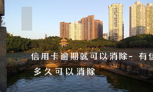 信用卡逾期就可以消除-有信用卡逾期記錄多久可以消除