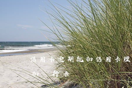 信用卡逾期就扣信用卡理的錢(欠信用卡錢會扣銀行卡錢嗎)
