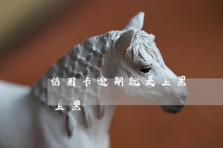 信用卡逾期就是上黑戶嗎-信用卡逾期就是上黑戶嗎