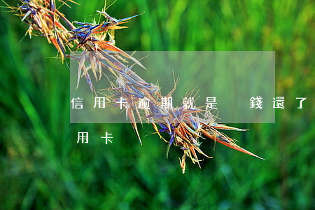 信用卡逾期就是沒錢還了怎么辦(逾期不還信用卡)