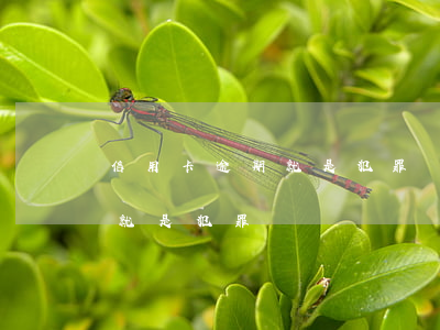 信用卡逾期就是犯罪嗎怎么處理（信用卡逾期就是犯罪嗎）