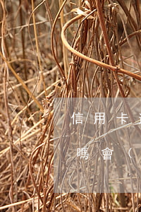 信用卡逾期就是白戶嗎(信用卡逾期就是白戶嗎會(huì)被起訴)