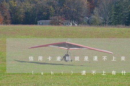 信用卡逾期就是還不上來了(信用卡逾期暫時(shí)還不上有什么辦法?)