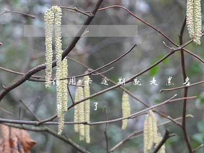 信用卡逾期就是黑名單 黑名單辦理信用卡居然過了