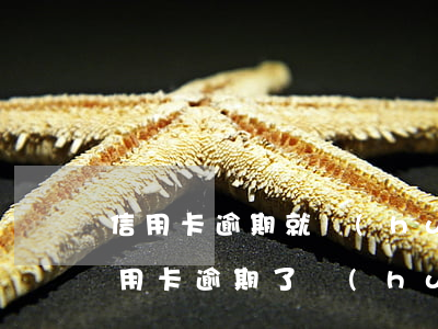 信用卡逾期就會(huì)上征信嗎(本月信用卡逾期了會(huì)不會(huì)上征信)