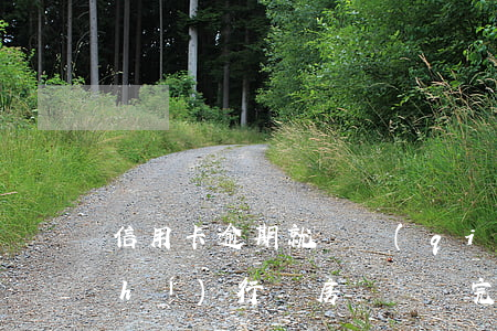信用卡逾期就會強(qiáng)制執(zhí)行嗎(房貸沒還完信用卡逾期法院能強(qiáng)制執(zhí)行嗎)