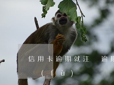 信用卡逾期就注銷(逾期注銷的信用卡還能恢復(fù)嗎)