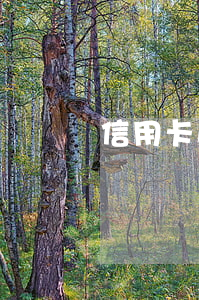信用卡逾期就用不了怎么辦