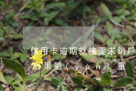 信用卡逾期就被要求銷戶 逾期后注銷信用卡后果嚴(yán)重