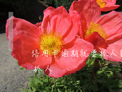 信用卡逾期就要抓人嗎(信用卡逾期多久立案抓人)