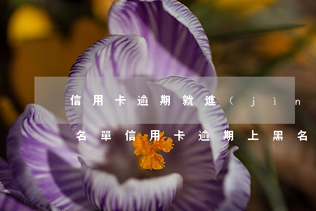 信用卡逾期就進(jìn)內(nèi)控名單(信用卡逾期上黑名單)