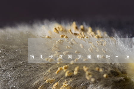 信用卡逾期就逾期吧-沒注意信用卡逾期了