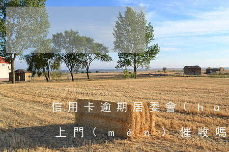 信用卡逾期居委會(huì)會(huì)上門(mén)催收嗎(有誰(shuí)被信用卡逾期上門(mén)催收過(guò))