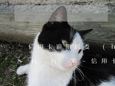 信用卡逾期居委會(huì)開(kāi)具圖片證明-信用卡逾期居委會(huì)開(kāi)具圖片證明怎么寫(xiě)