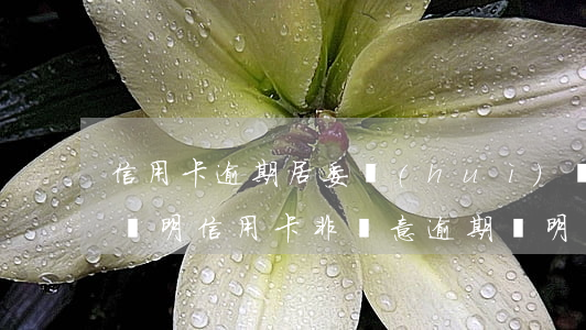 信用卡逾期居委會(huì)開(kāi)證明(信用卡非惡意逾期證明)