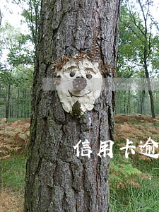信用卡逾期居委會(信用卡逾期居委會)