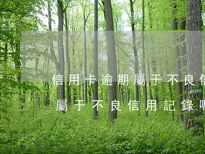 信用卡逾期屬于不良信用記錄嗎(信用卡逾期屬于不良信用記錄嗎怎么處理)
