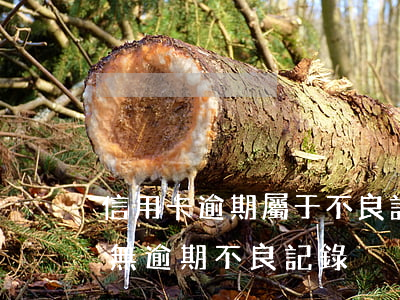 信用卡逾期屬于不良記錄嗎(怎么查信用卡有無逾期不良記錄)