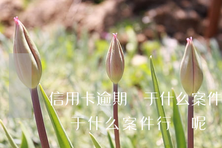 信用卡逾期屬于什么案件行為-信用卡逾期屬于什么案件行為呢