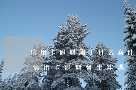 信用卡逾期屬于什么案件行為的(2021年信用卡逾期會坐牢嗎)