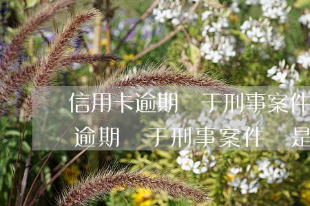 信用卡逾期屬于刑事案件還是民事-信用卡逾期屬于刑事案件還是民事案件