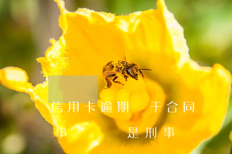 信用卡逾期屬于合同糾紛嗎(信用卡逾期是民事糾紛還是刑事糾紛)