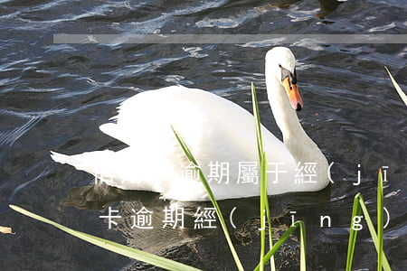 信用卡逾期屬于經(jīng)偵科嗎(信用卡逾期經(jīng)偵已拘留)