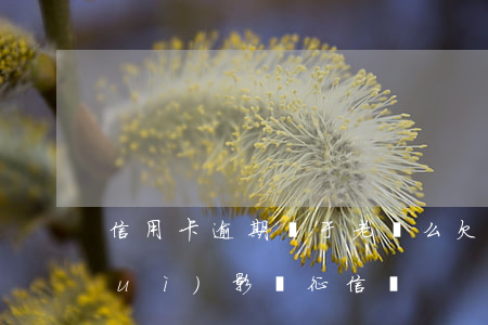 信用卡逾期屬于老賴么(欠信用卡逾期會(huì)影響征信嗎)