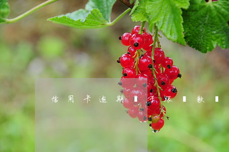 信用卡逾期屬于跟貸款嗎(信用卡什么叫逾期)