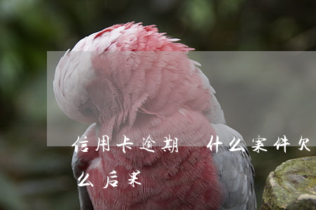 信用卡逾期屬什么案件(欠信用卡逾期會有什么后果)