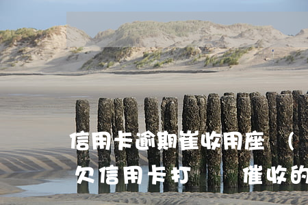 信用卡逾期崔收用座機(jī)打電話嗎-欠信用卡打電話催收的是什么人