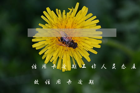 信用卡逾期工作人员态度恶劣(因特殊情况导致信用卡逾期)