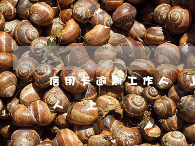 信用卡逾期工作人員上門走訪(辦信用卡工作人員上門)