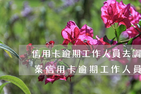 信用卡逾期工作人員去調(diào)我檔案(信用卡逾期工作人員去調(diào)我檔案)