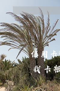 信用卡逾期 工商銀行(信用卡逾期工商銀行把我卡被鎖了)