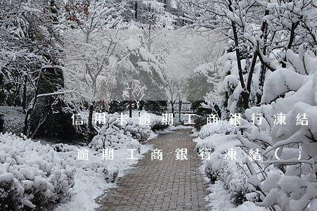信用卡逾期工商銀行凍結(jié)(信用卡逾期工商銀行凍結(jié)了怎么辦)