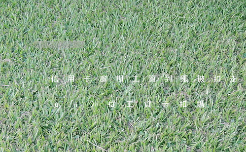 信用卡逾期工資到賬被扣走(欠信用卡會(huì)從工資卡扣嗎)