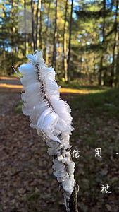 信用卡逾期工資卡全額劃扣(工資一發(fā)被信用卡秒扣)
