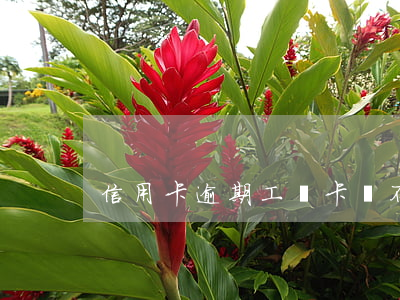信用卡逾期工資卡會不會被凍結(jié)