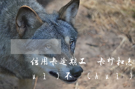 信用卡逾期工資卡秒扣怎么辦(逾期后會(huì)不會(huì)強(qiáng)制扣款工資卡)
